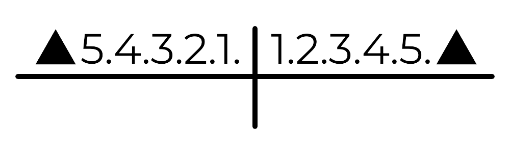 Upper Jaw - Bicuspids, incisors and roots