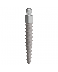 C-TECH NMAB Dental Implant