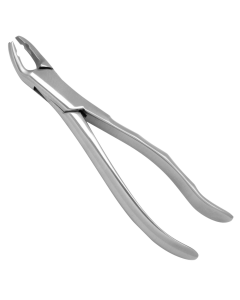 Devemed Extract 500/650 Extracting Forceps #33 A, Roots