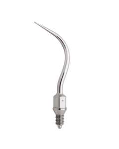 W&H Proxeo Scaler Tip 2APr