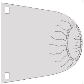 Barrier Unit Cover/ Banded Bag. Ref: 705844