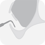 W&H Piezomed Tooth illustration